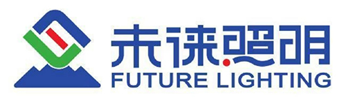 未徕照明携手博凌管理进行质量环境管理体系落地推行